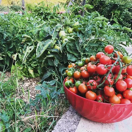 Aman Макарска