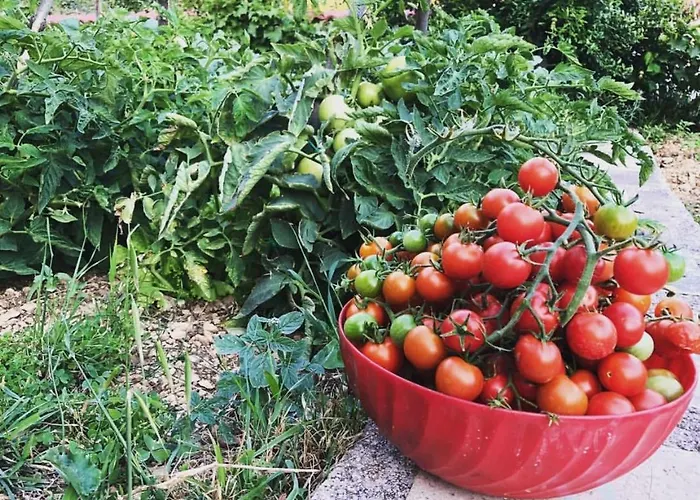 Aman Макарска